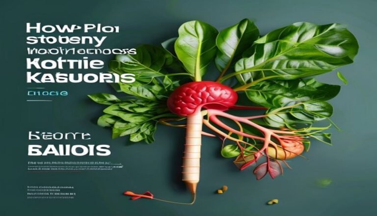 How a Revolutionary Study Shows Plant-Based Nutrition Can Save Kidney Patients Thousands How a Revolutionary Study Shows Plant-Based Nutrition Can Save Kidney Patients Thousands