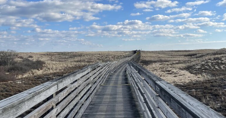 How to Cultivate Spacious Awareness