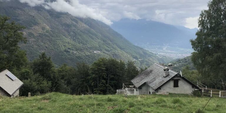Italy's Forests Larger Than Agriculture Land for the First Time Since the Middle Ages