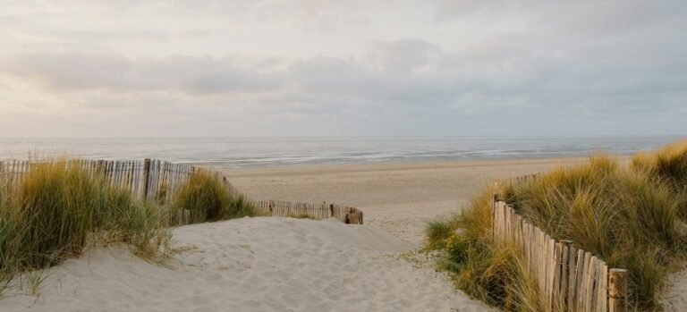 ‘It’s Still Your Beach, Only Better’ 'It's Still Your Beach, Only Better'