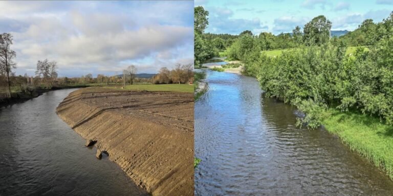 Nature’s Beauty is Restored After Farmer Obliterated Shoreline of Important Salmon Run Nature’s Beauty is Restored After Farmer Obliterated Shoreline of Important Salmon Run