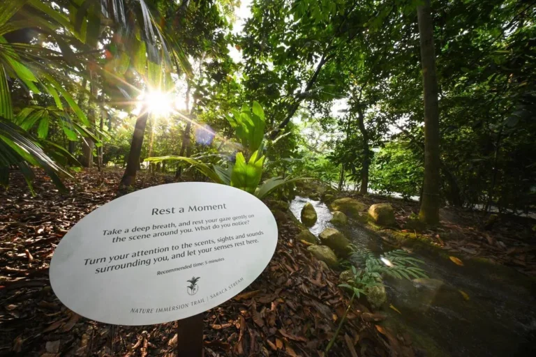 Signs along the trail at Singapore Botanic Gardens guide visitors to use different senses, such as touching tree roots and taking deep breaths, or watching how sunlight streams through the leaves. 