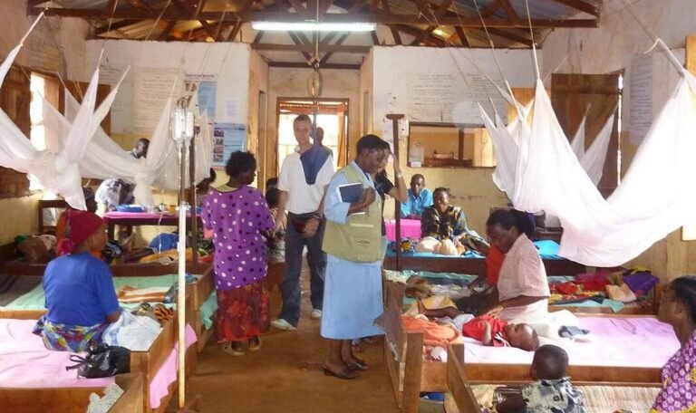 Papua New Guinea Malaria Deaths Fall by 92% Papua New Guinea Malaria Deaths Fall by 92%