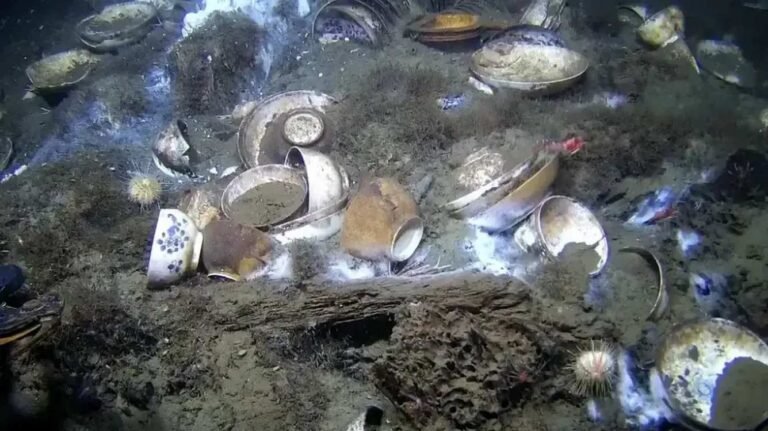 Shipwreck ‘Almost Beyond Belief’ Stunned Archaeologists with its Cargo of Intact Porcelain Shipwreck ‘Almost Beyond Belief’ Stunned Archaeologists with its Cargo of Intact Porcelain