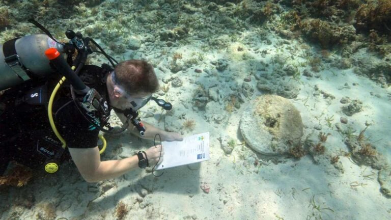 Shipwrecks from the Age of the Real 'Pirates of the Caribbean' Found–and Filmed–for the First Time