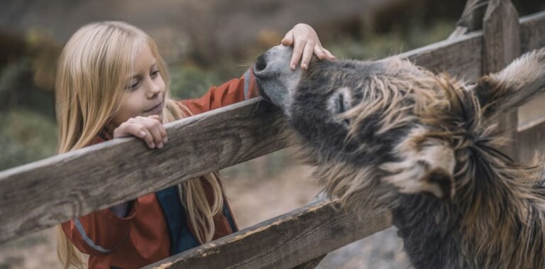 Therapy Donkeys Prove Such a Balm of Calm to Psychiatric Hospital That Organizers Look to Expand Therapy Donkeys Prove Such a Balm of Calm to Psychiatric Hospital That Organizers Look to Expand