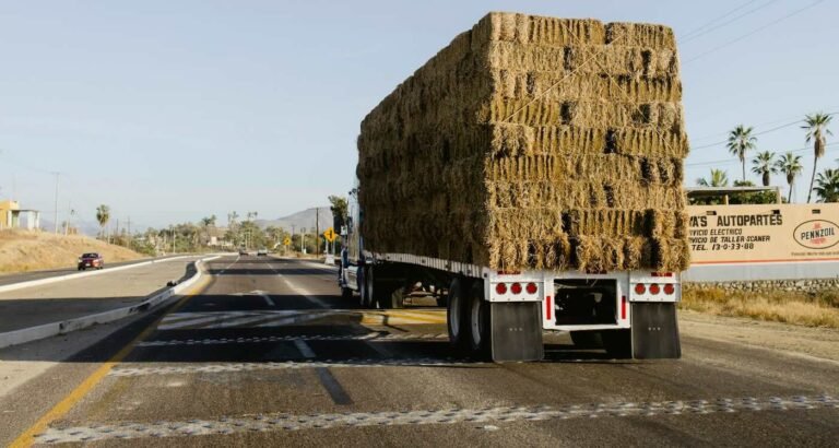 Thousands Donate to Help Nebraska Ranchers Who Couldn't Feed Their Herds After Wildfires Burn Every Acre