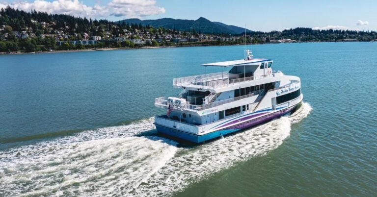 Zero emission whale-watching boat is a world first Search