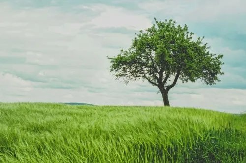 12 Things 90 Years of Wisdom Taught Me About Happiness and Life 12 Things 90 Years of Wisdom Taught Me About Happiness and Life