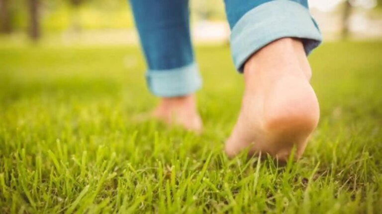 A mindful way to reconnect with nature Urban earthing: A mindful way to reconnect with nature