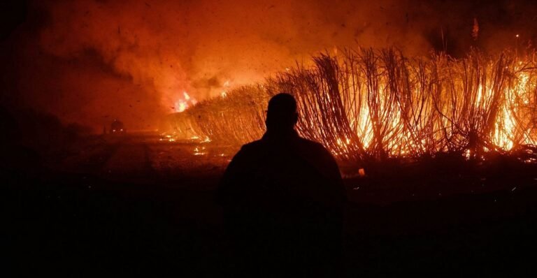 Africa’s Wildfire Season Is Actually Getting Shorter, Scientists Think They Know Why Africa's Wildfire Season Is Actually Getting Shorter, Scientists Think They Know Why