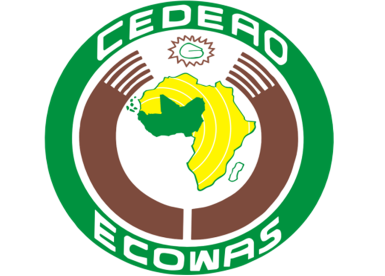 ECOWAS hands Nigeria assistive devices, push for disability inclusion Economic Community of West African States