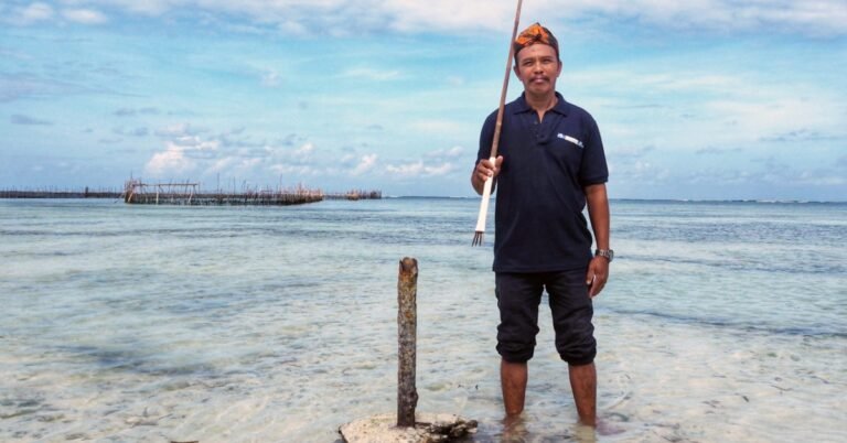Indonesia to protect Indigenous knowledge for biodiversity Search