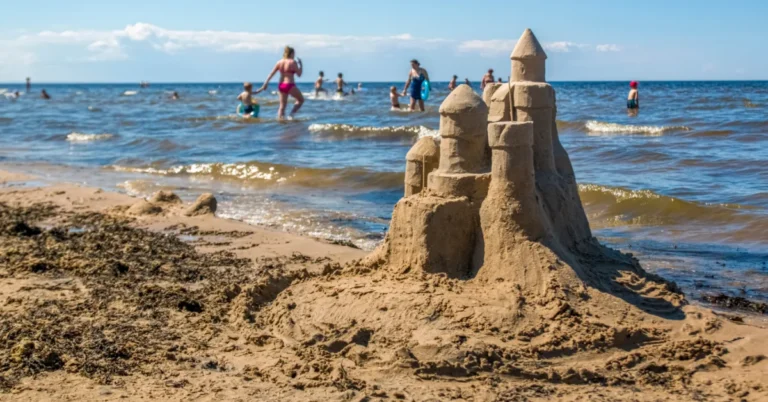 Knock down your sandcastles. Sea turtles will thank you Search