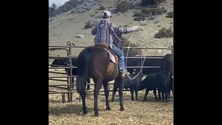 Montana Teen Uses Rodeo Lasso to Rescue Drowning Man on Yellowstone River Montana Teen Uses Rodeo Lasso to Rescue Drowning Man on Yellowstone River