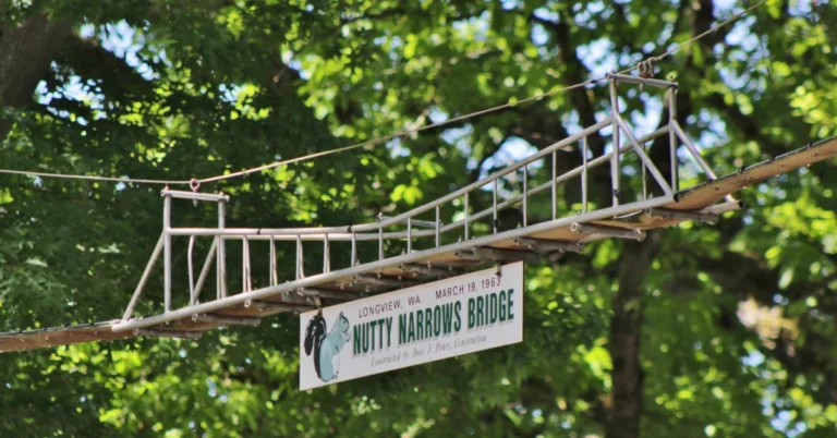 ‘Nutty Narrows,’ the world’s first squirrel pedestrian bridge Search