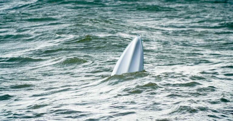 Off-duty North Texas Firefighter Saves 3 Children Trapped Under Boat on 4th of July Off-duty North Texas Firefighter Saves 3 Children Trapped Under Boat on 4th of July