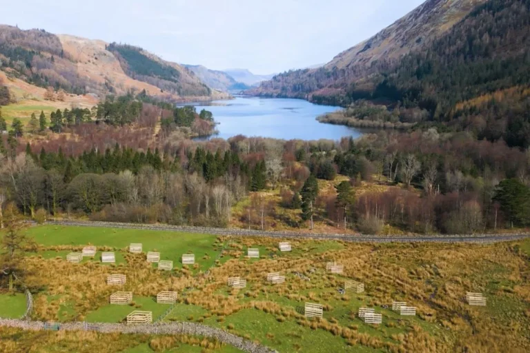 Protecting water, restoring nature: Thirlmere is building resilience for the future