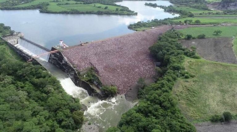 Rich Rainfall Set to Bust Mexico’s 6-year Drought Rich Rainfall Set to Bust Mexico’s 6-year Drought