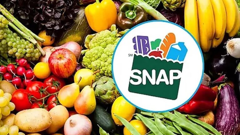 SNAP Benefits Payment July 2026: Who will be getting their payment this week?