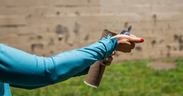 Why California is releasing 500,000 mosquitoes Search