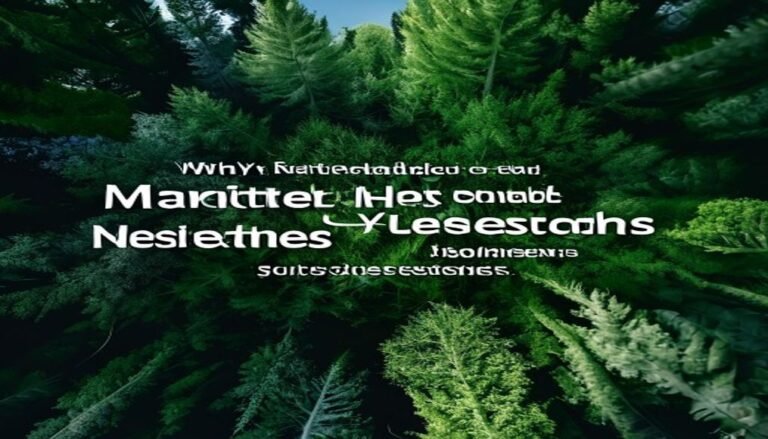 Why Nature-Based Mental Health Solutions Are Being Ignored by Healthcare Systems