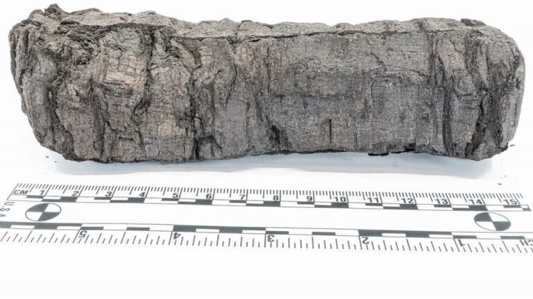 Yet More Scrolls Burned by Vesuvius Decoded by AI–Revealing Insights by Unknown Stoic Philosopher Yet More Scrolls Burned by Vesuvius Decoded by AI–Revealing Insights by Unknown Stoic Philosopher