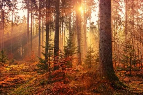 10 Important Things We All Wait Too Long to Do for Ourselves 10 Important Things We All Wait Too Long to Do for Ourselves