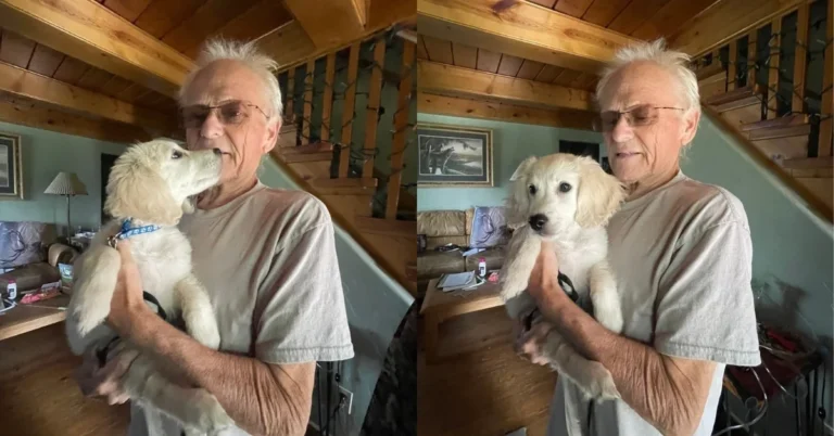 11-week-old puppy fulfills hospice patient’s last wish Search