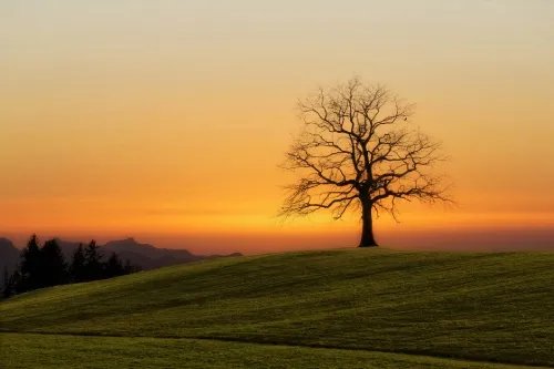 5 Habits of Happiness 90 Years of Wisdom Taught Me to Appreciate 5 Habits of Happiness 90 Years of Wisdom Taught Me to Appreciate