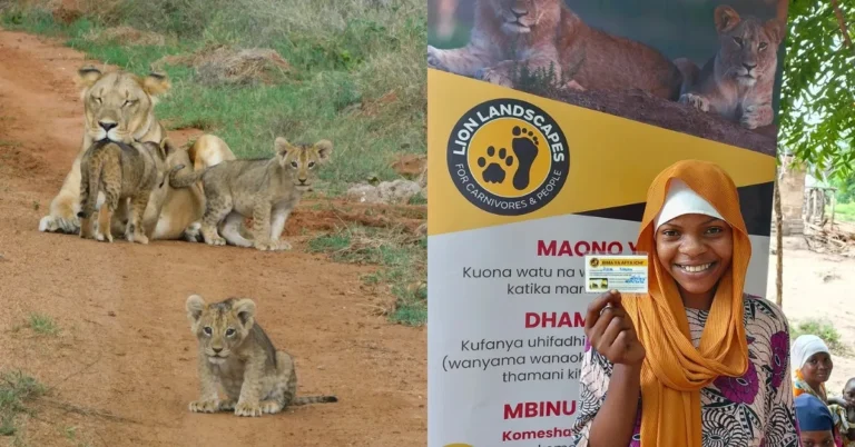 African villagers become conservationists with camera trap scheme Search