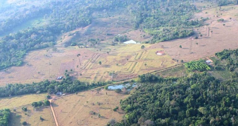 Archaeologists Triple the Scale of an Ancient Amazonian Civilization We Know Almost Nothing About Archaeologists Triple the Scale of an Ancient Amazonian Civilization We Know Almost Nothing About