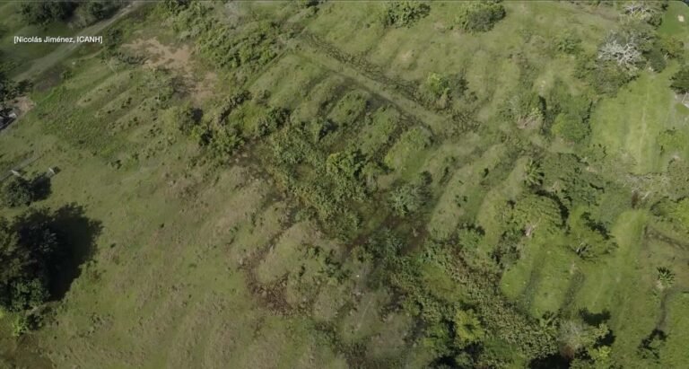 Early Farmers Figured Out ‘Engineering Wonder,’ Building Huge Irrigation System Without Government or Chief Early Farmers Figured Out ‘Engineering Wonder,’ Building Huge Irrigation System Without Government or Chief