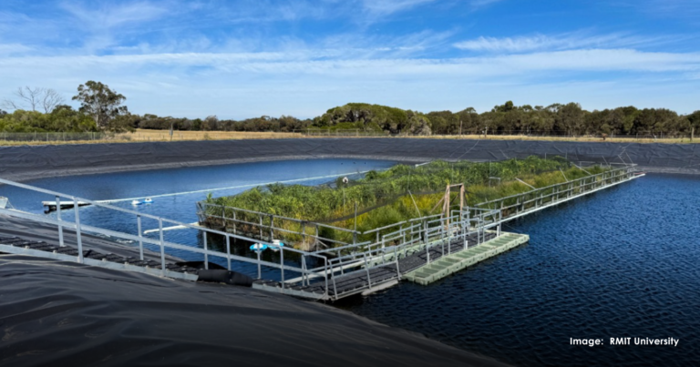 Floating wetlands reduce greenhouse gas emissions by nearly 40 percent – The Good News Movement Floating wetlands reduce greenhouse gas emissions by nearly 40 percent – The Good News Movement