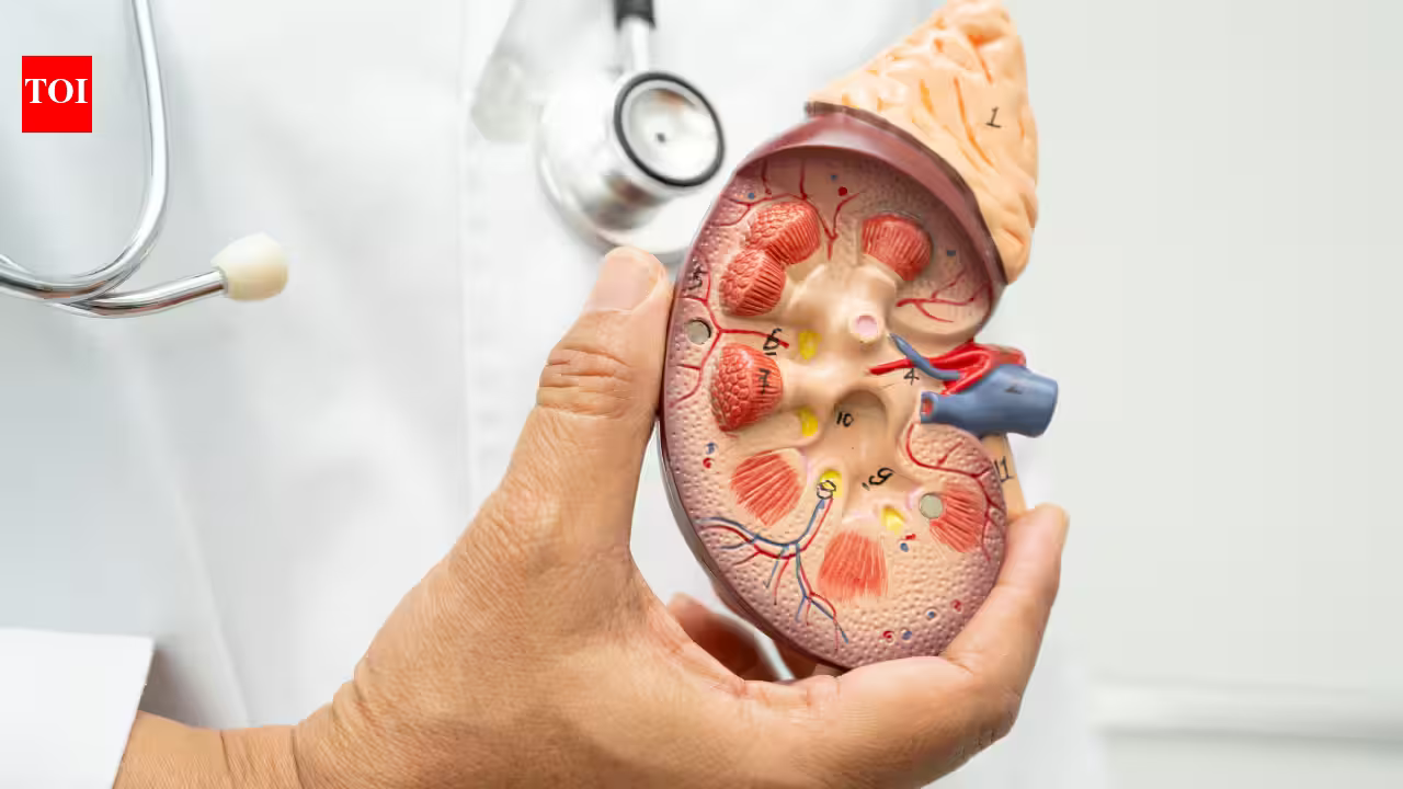 How it can raise blood pressure and put your kidneys at risk How it can raise blood pressure and put your kidneys at risk