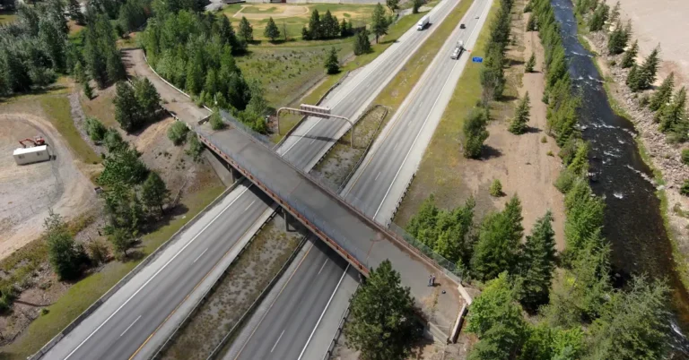 Idaho truck driver’s legacy lives on in new wildlife overpass Search