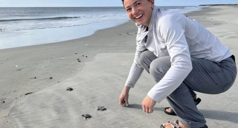 Loggerhead Sea Turtles Break Nest Record in Georgia – The Most in 37 Years Loggerhead Sea Turtles Break Nest Record in Georgia – The Most in 37 Years