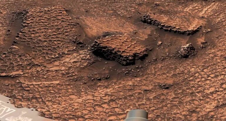 Mars Rover Discovers Mysterious Field of Honeycomb Textures on Red Planet: ‘Took Our Breath Away’ Mars Rover Discovers Mysterious Field of Honeycomb Textures on Red Planet: ‘Took Our Breath Away’