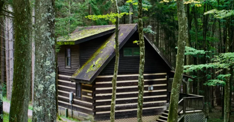 Maryland’s newest state park opens to the public this week Search