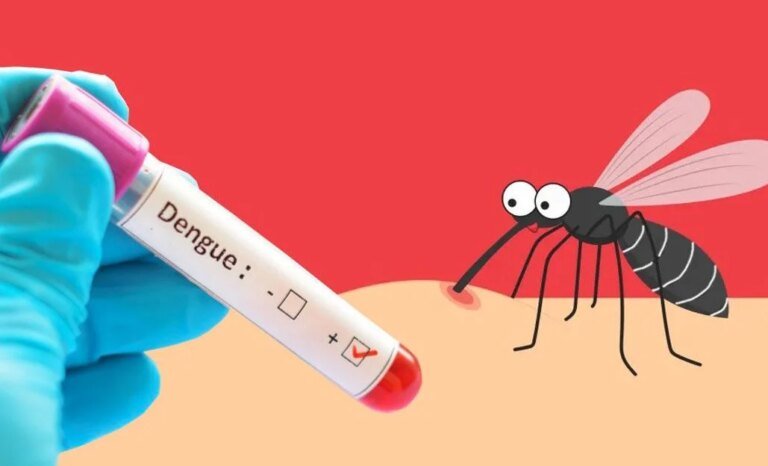 Public involvement, integrated initiatives urgent to prevent dengue: experts Public involvement, integrated initiatives urgent to prevent dengue: experts