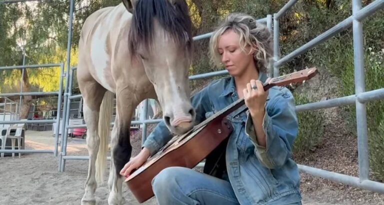 Rescue Foal Learns to Play Instruments for Album Debut