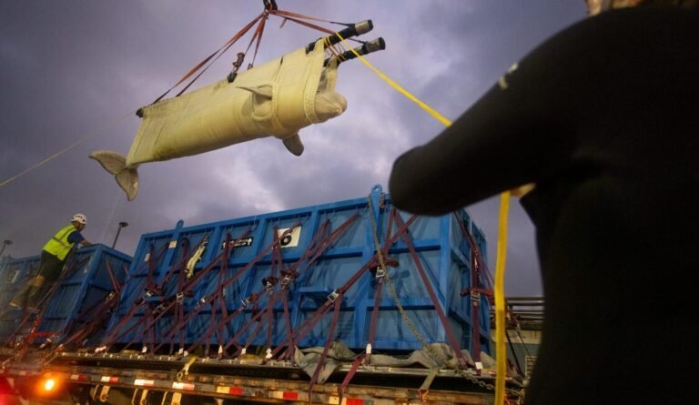SeaWorld Completes Largest Captive Whale Transportation Operation in Nation’s History SeaWorld Completes Largest Captive Whale Transportation Operation in Nation's History