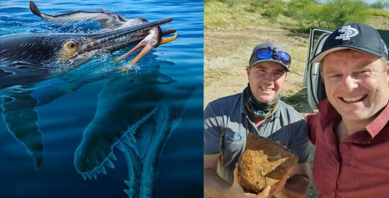 Single Fossil Shows a Pterosaur Eaten by an Ichthyosaur Eaten by a Pliosaur: 'A 3-Way Chompfest'