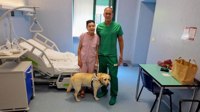 Woman Can See Again After World’s First Transplant of a Central Retina Woman Can See Again After World’s First Transplant of a Central Retina