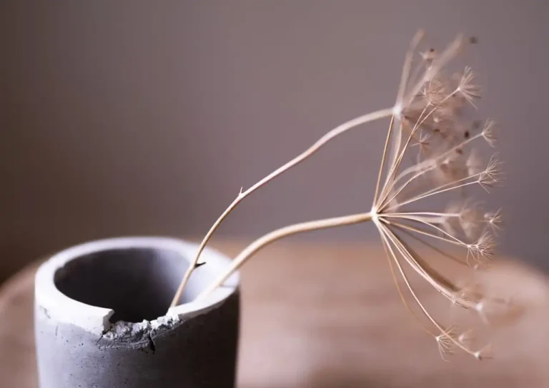 Your Mistakes Don’t Define You: 8 Important Lessons to Learn Your Mistakes Don’t Define You: 8 Important Lessons to Learn