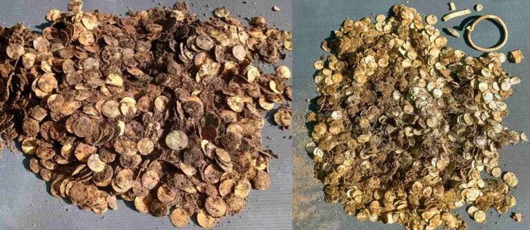 10 Pounds of Viking Silver Found in Finland Extend Incredible Year for Scandinavian Treasure Hunts 10 Pounds of Viking Silver Found in Finland Extend Incredible Year for Scandinavian Treasure Hunts