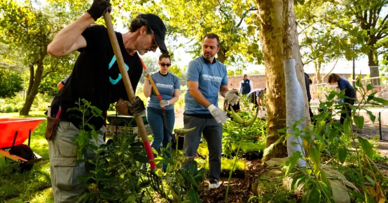3,000 new trees planted to honor each life lost on 9/11 Search