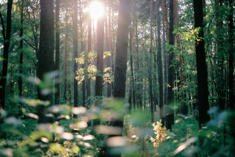 7 Ways To Simplify Your Life For More Peace And Joy