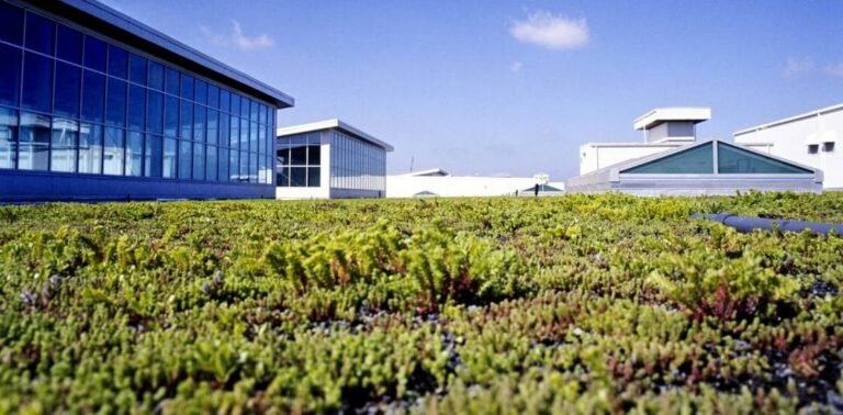 A 'Living Roof' is Growing Atop Ford's Largest Factory–Saving Energy and Boosting Birds