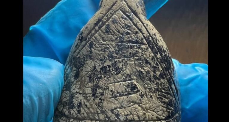 Cavemen Used Mammoth Tusk Patterns to Create Unique Art, Reveals New Research